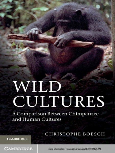 Wild Cultures: A Comparison between Chimpanzee and Human Cultures