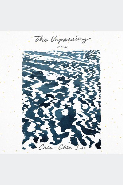 Unpassing: A Novel