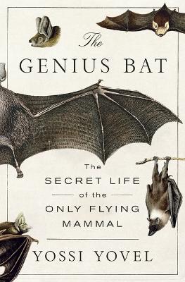 Genius Bat: The Secret Life of the Only Flying Mammal