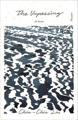 Unpassing: A Novel