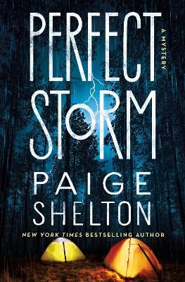 Perfect Storm: A Mystery