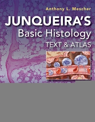 Junqueira's Basic Histology: Text and Atlas, Seventeenth Edition 17th edition