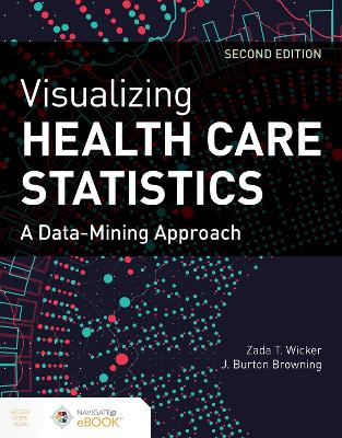 Visualizing Health Care Statistics: a Data-Mining Approach: A Data-Mining Approach 2nd New edition