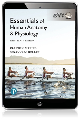 Essentials of Human Anatomy & Physiology, Global Edition