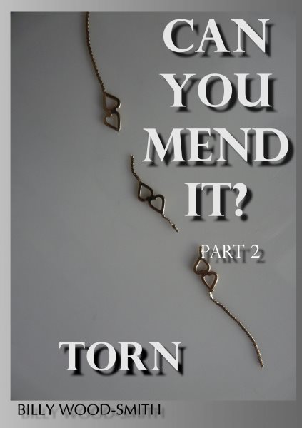 Can You Mend It? Part 2: Torn
