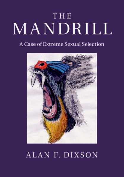 Mandrill: A Case of Extreme Sexual Selection