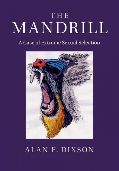 Mandrill: A Case of Extreme Sexual Selection