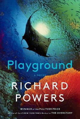Playground: A Novel