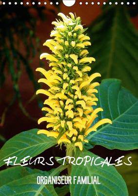 Fleurs tropicales / organiseur familial 2015: La splendeur des fleurs tropicales magnifiques dans leur habitat naturel