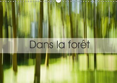 Dans la forêt 2015: Une suite d'images prises en Creuse...