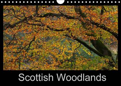 Scottish Woodlands 2015: Stunning photography capturing the beauty of trees