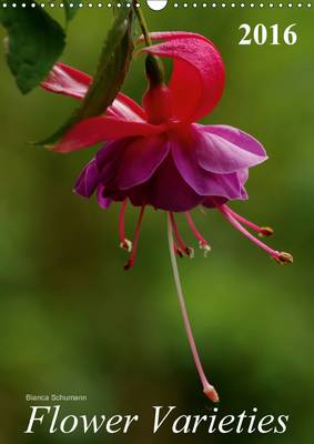 Flower Varieties 2016: A variety of flowers 2nd edition