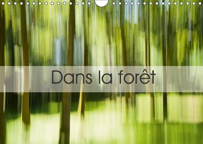 Dans la forêt 2016: Une suite d'images prises en Creuse... 2nd edition