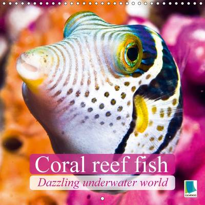 Dazzling underwater world: Coral reef fish 2017: Fish and corals 3rd edition