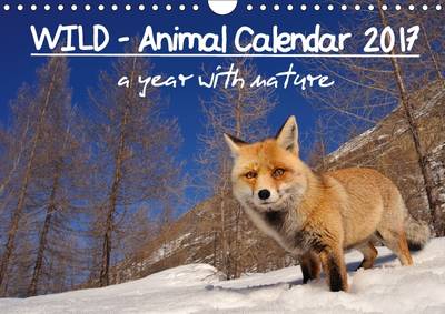 Wild - Animal Calendar 2017 / UK Version 2017: A Year with Nature 4th Revised edition