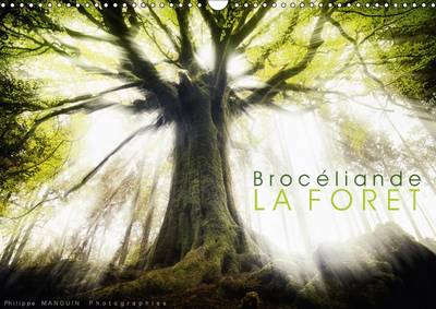 Broceliande, la Foret 2017: Photographies de la Foret de Broceliande 3rd Revised edition