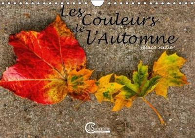Couleurs De L'automne 2018: Dame Nature Nous Offre Une Diversite De Couleurs Notamment Lors De La Saison  Automnale. 4th edition