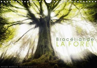 Broceliande, La Foret 2018: Photographies De La Foret De Broceliande 4th edition
