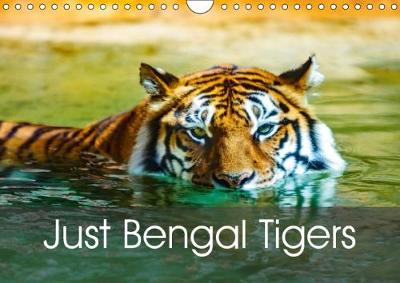 Just Bengal Tigers 2018: Magical Bengal Tigers Both Yellow and White with Stripes 3rd edition
