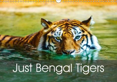 Just Bengal Tigers 2018: Magical Bengal Tigers Both Yellow and White with Stripes 3rd edition