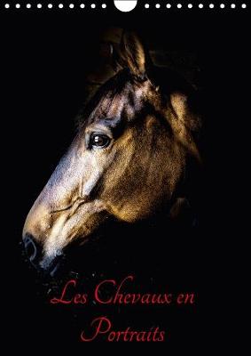 Chevaux en Portraits 2018: Portraits de chevaux en liberté et studio 3rd edition