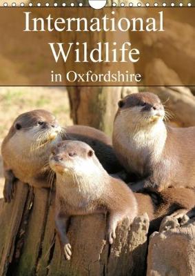 International Wildlife in Oxfordshire 2018: A Variety of Wildlife Found in an Oxfordshire Park 2nd edition