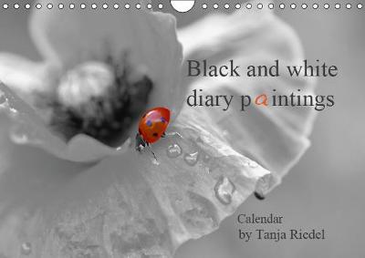Black and white diary paintings by Tanja Riedel Great Britain Edition 2019: Great black and white photographs with a small splash of color as a great  contrast in the image 6th edition