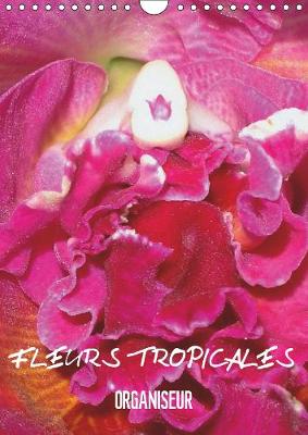 Fleurs tropicales / organiseur 2019: La splendeur des fleurs tropicales magnifiques dans leur habitat naturel 5th edition