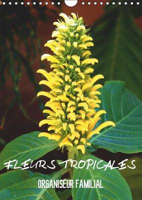 Fleurs tropicales / organiseur familial 2019: La splendeur des fleurs tropicales magnifiques dans leur habitat naturel 5th edition