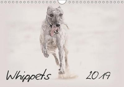 Whippets 2019 2019: This high-class wall-calendar presents impressive images of the Whippets in  all its beauty. 5th edition