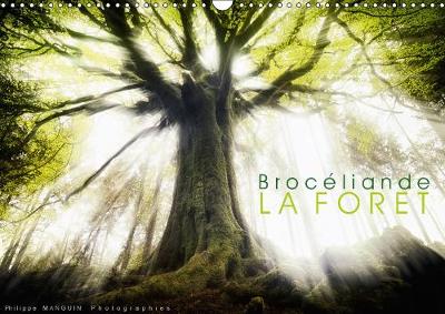 BROCELIANDE, la forêt 2019: photographies de la forêt de Brocéliande 5th edition
