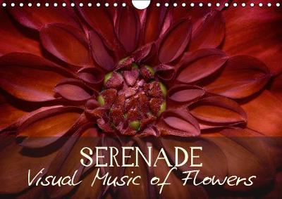 Serenade Visual Music of Flowers 2019: Art Calendar - Macro photography of nature 4th edition
