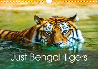 Just Bengal Tigers 2019: Magical Bengal Tigers Both Yellow and White with Stripes 4th edition