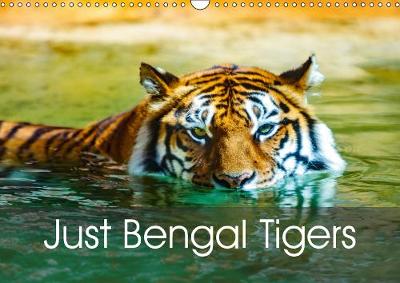 Just Bengal Tigers 2019: Magical Bengal Tigers Both Yellow and White with Stripes 4th edition