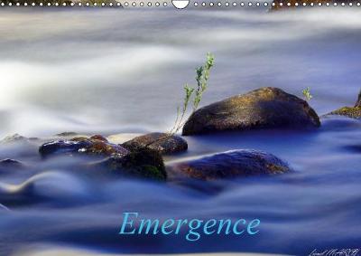Emergence 2019: Emergence de l'eau 4th edition