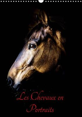 Chevaux en Portraits 2019: Portraits de chevaux en liberté et studio 4th edition
