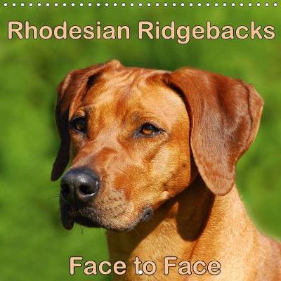 Rhodesian Ridgebacks Face to Face 2019: Beautiful portraits of the well known dog breed originated in South Africa,  the Rhodesian Ridgeback. 4th edition