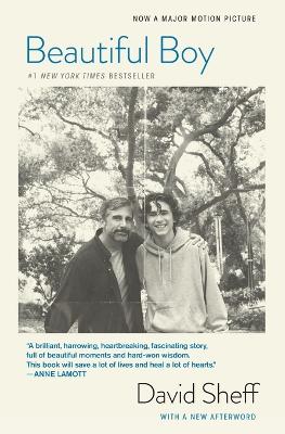 Beautiful Boy (Tie-In): A Father's Journey Through His Son's Addiction Media tie-in