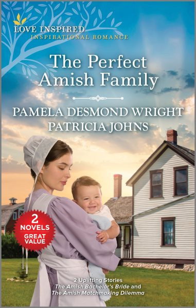 Perfect Amish Family Reissue ed.