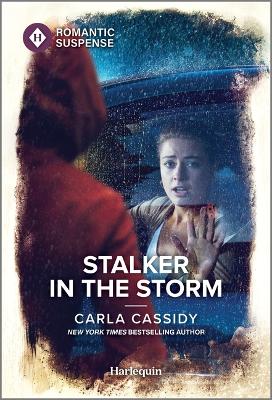 Stalker in the Storm Original ed.