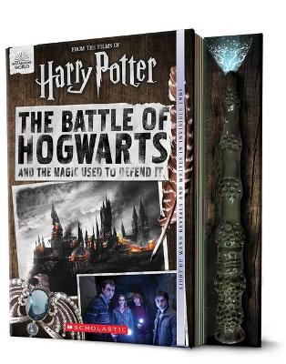 Battle of Hogwarts and the Magic Used to Defend It (Harry Potter)