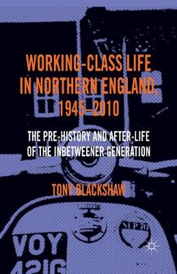 Working-Class Life in Northern England, 1945-2010: The Pre-History and After-Life of the Inbetweener Generation 1st ed. 2013