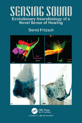 Sensing Sound: Evolutionary Neurobiology of a Novel Sense of Hearing