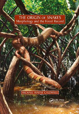 Origin of Snakes: Morphology and the Fossil Record