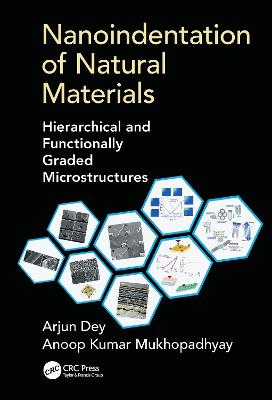 Nanoindentation of Natural Materials: Hierarchical and Functionally Graded Microstructures