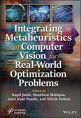 Integrating Metaheuristics in Computer Vision for Real-World Optimization  Problems