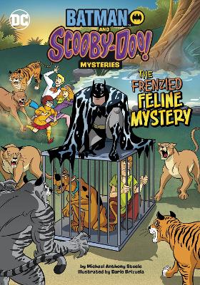 Frenzied Feline Mystery