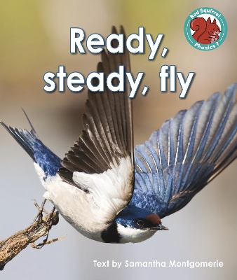 Ready, steady, fly