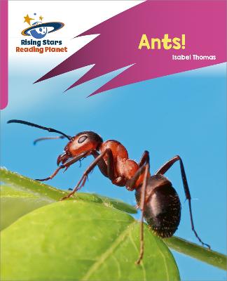 Reading Planet: Rocket Phonics  Target Practice  Ants!  Pink A