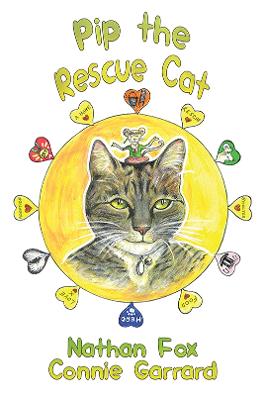 Pip the Rescue Cat
